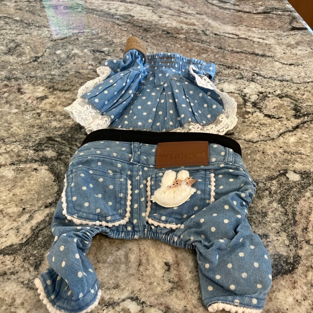 Blue Polka Dot Doggie Outfit